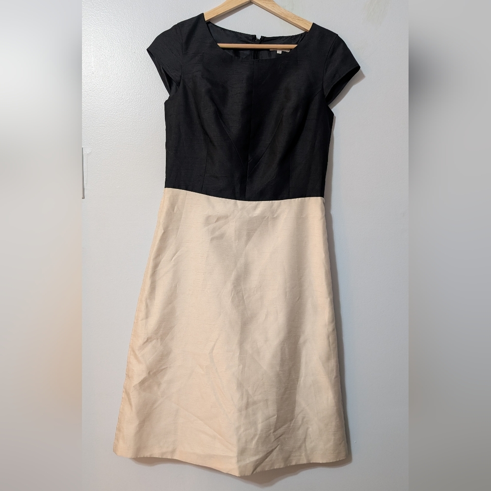 Timeless Black and Cream Women's Dress - Picture 3 of 6